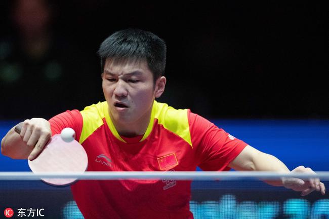 肇庆市在游 肇庆市在游